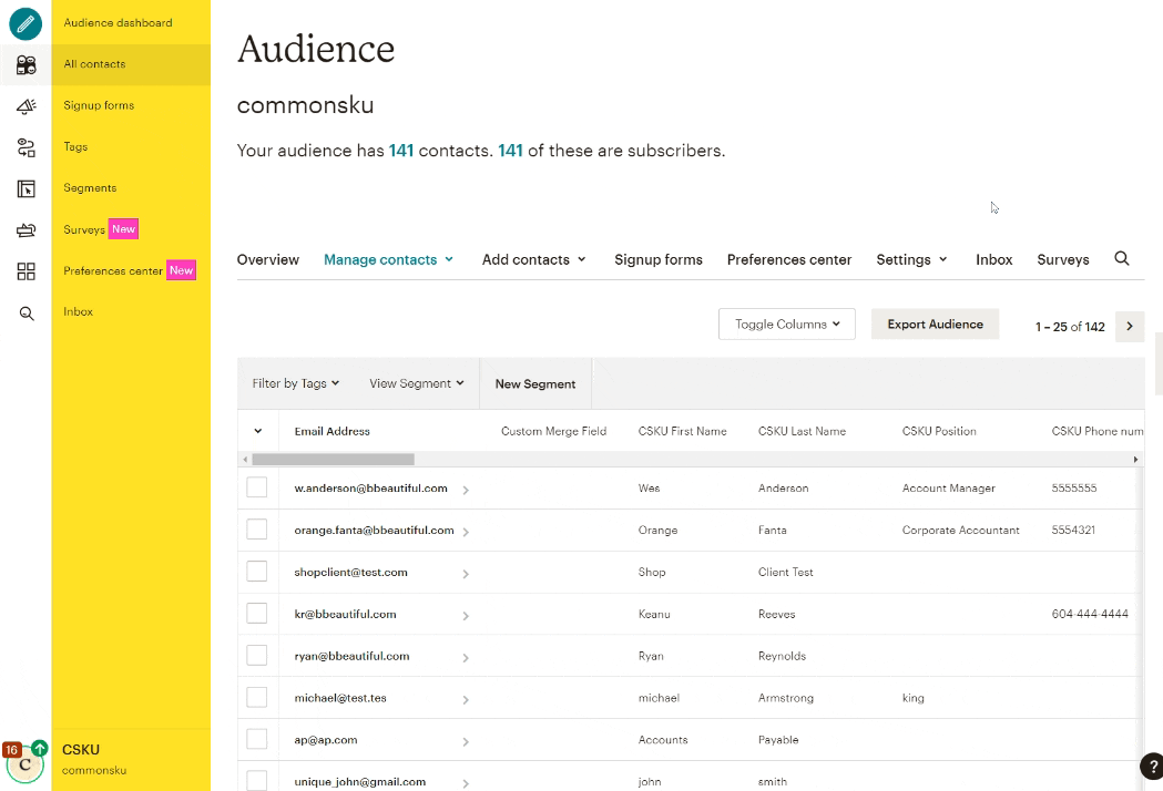 03_To update your custom merge fields in Mailchimp