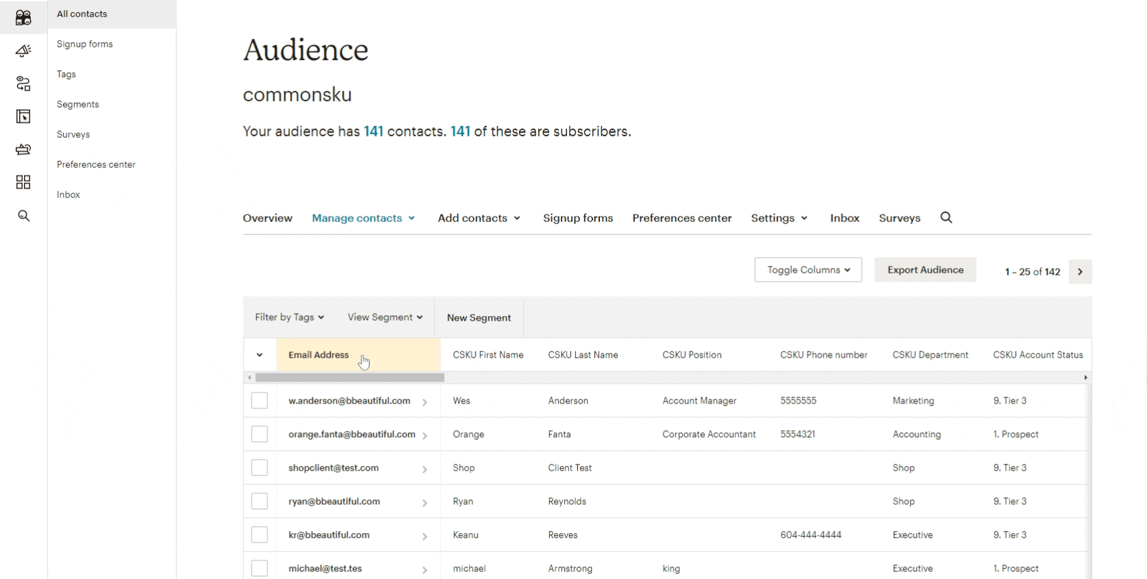 13_Contact details in Mailchimp