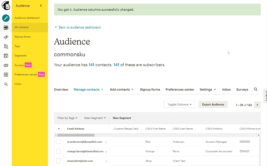 18_Why cant I see my audiences CSKU details in Mailchimp